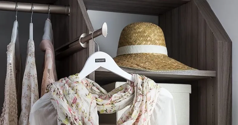 Closet valet rods